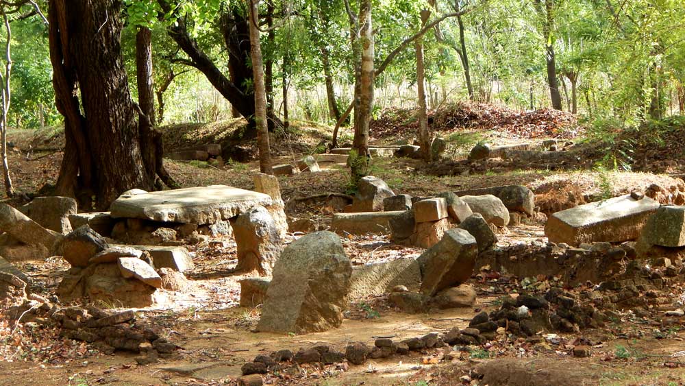 Galtamyaaya